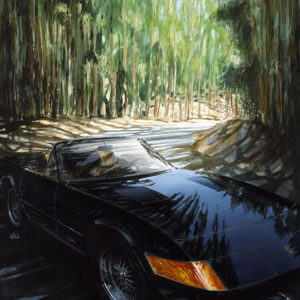 Cannon Road - Jay Koka