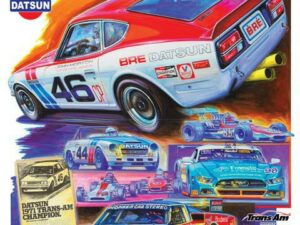 2019 SVRA Fontana Poster - Hector Cademartori